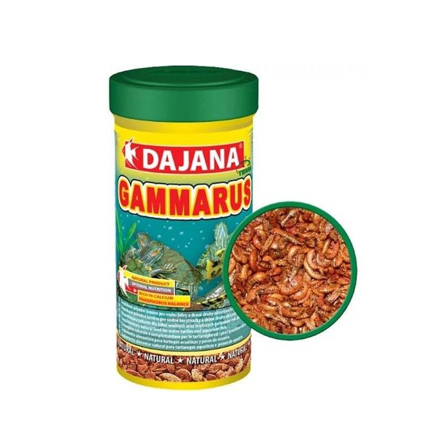 Dajana Gammarus 500 Ml Wholesale