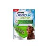 Dentalife Activfresh Large Best