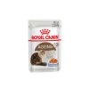 Royal Cat +12 Pouch Gelatina 85 Gr Hot