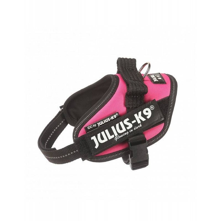 Julius K9 Idc 3 82-115 Cm Fucsia Best