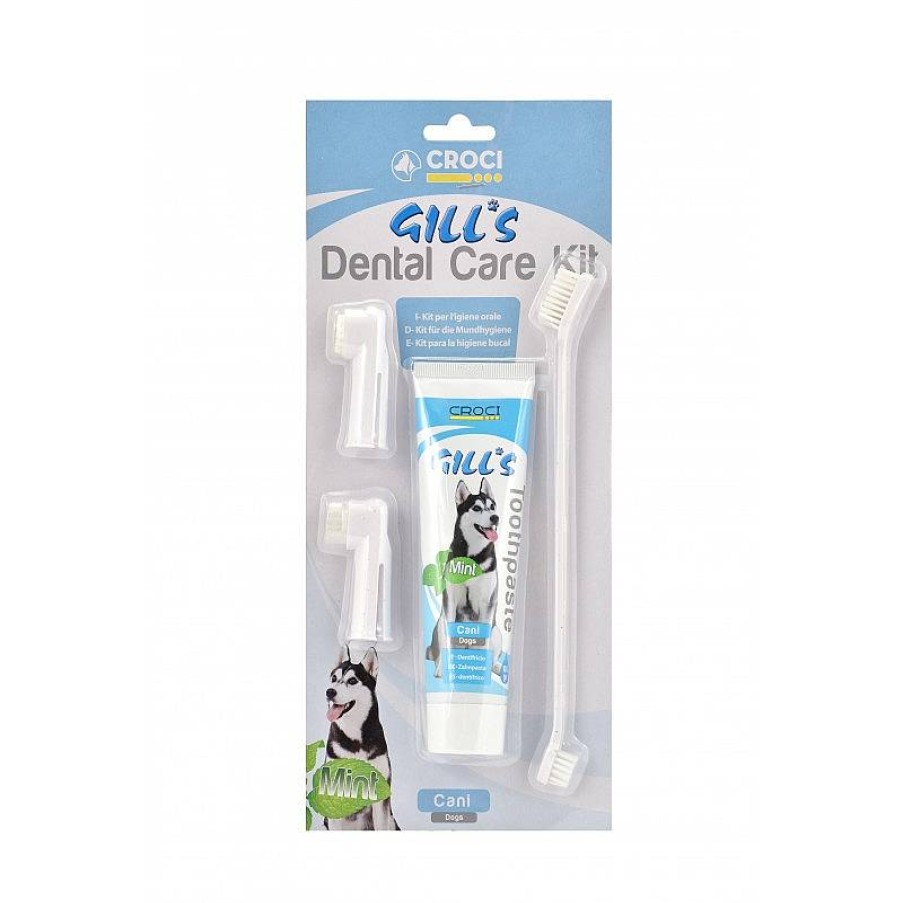 Gills Kit Dental Wholesale