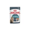 Royal Cat Hairball C. Pouch Salsa 85 Gr Hot