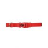 Nyc Collar Basic Rojo 20 Mm Clearance