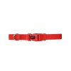 Nyc Collar Basic Rojo 25 Mm Online