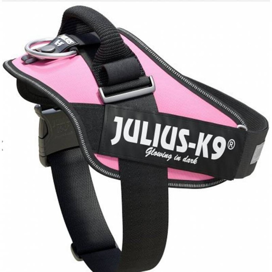 Julius K9 Idc Baby 2 33-45 Cm Rosa Best