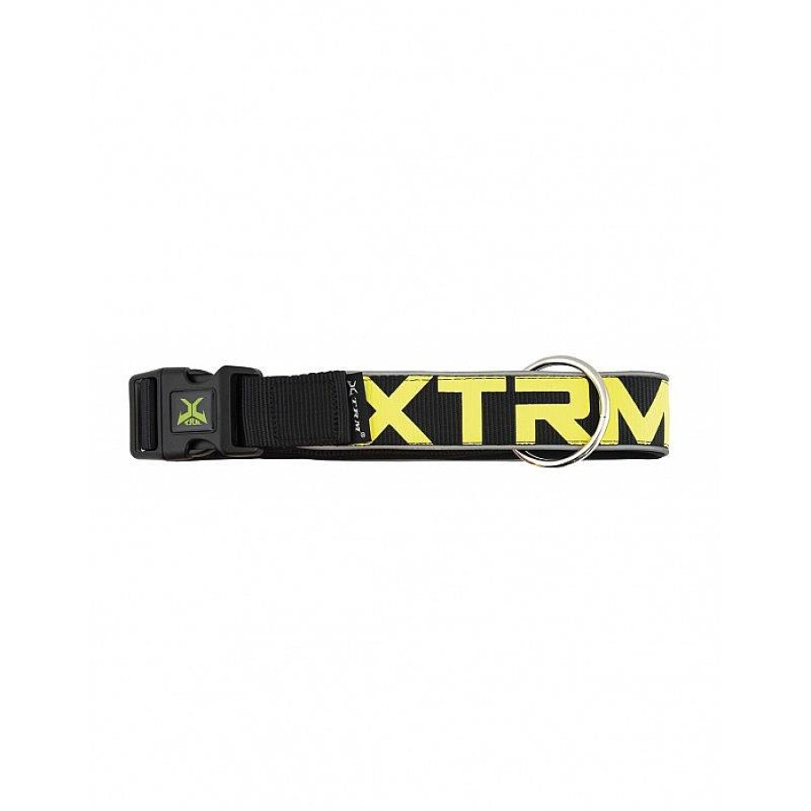 Nyc Collar X-Trm Neon Flash Negro 38 Mm Wholesale