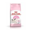 Royal Babycat 400 Gr Clearance