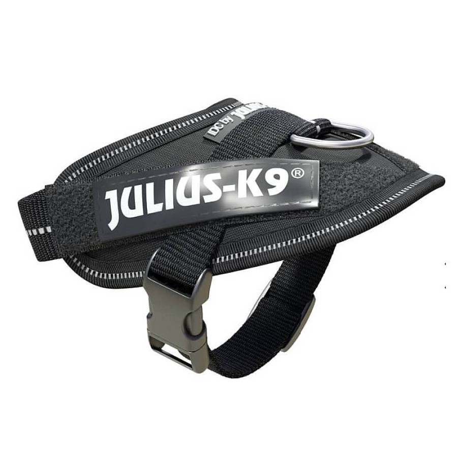 Julius K9 Idc Baby 1 29-36 Cm Negro Best