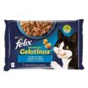 Felix Sensations Sal/Gambas/Trucha 85 Gr Online