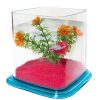 Ica Betta Paradise 1,9 L Azul Wholesale