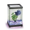 Ica Kit Betta Space Led 4,95 L Negro Online