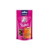 Vitakraft Cat Yums Pollo Hierba 40 Gr Clearance