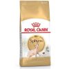 Royal Cat Sphynx 2 Kg Best