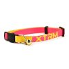 Nyc Collar Gato X-Trm Neon Flash Fucsia Hot