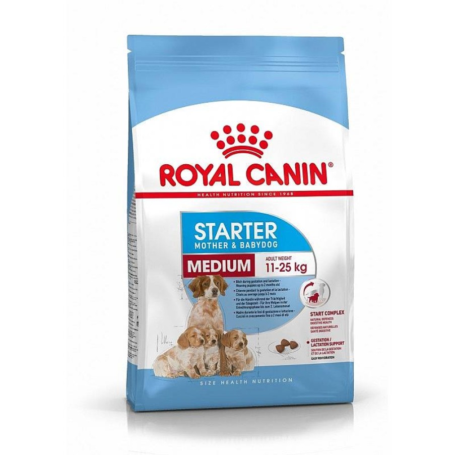 Royal Starter Medium 4 Kg Online