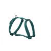 Fd Arnes Basic Verde 0.8*15/30Cm Wholesale