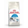 Royal Cat Indoor 400 Gr Clearance