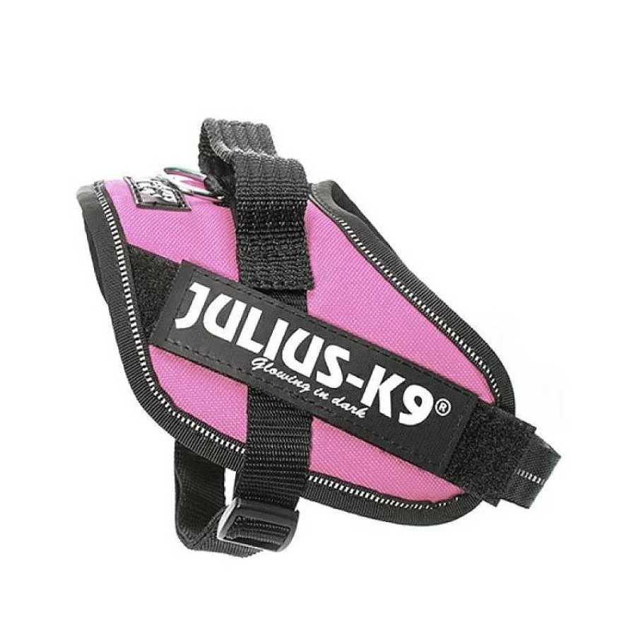 Julius K9 Idc Mini-Mini 40-53 Cm Rosa Wholesale