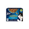 Felix Sensations Festin Del Mar 12X85 Gr Best