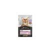 Pplan Cat Pouch Delicate Pavo 85 Gr Wholesale