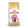 Royal Kitten Persian 400 Gr Hot