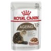 Royal Cat +12 Pouch Salsa 85 Gr Online