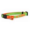 Nyc Collar Gato X-Trm Neon Flash Verde Online