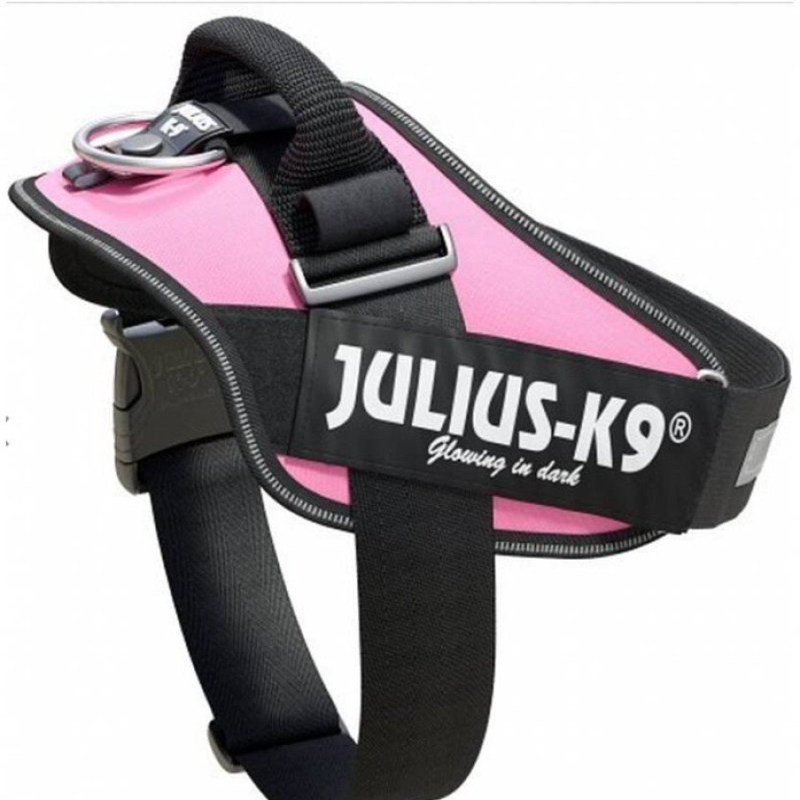 Julius K9 Idc 1 63-85 Cm Rosa Hot