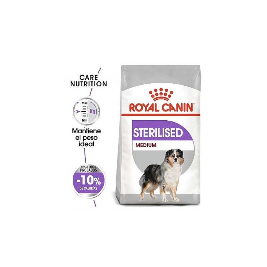 Royal Sterilised Medium 3 Kg Online