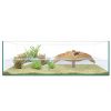 Ica Kit Tortuguera Isla 80*35*26,5 Cm New