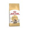 Royal Cat Maine Coon 4 Kg Best