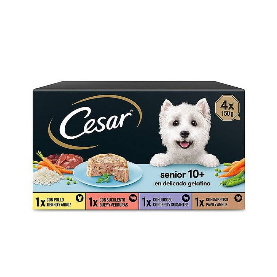 Cesar Tarrina Multipack Senior 4*150 Gr New