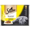 Sheba Delicato Seleccion Aves 4*85 Gr Best