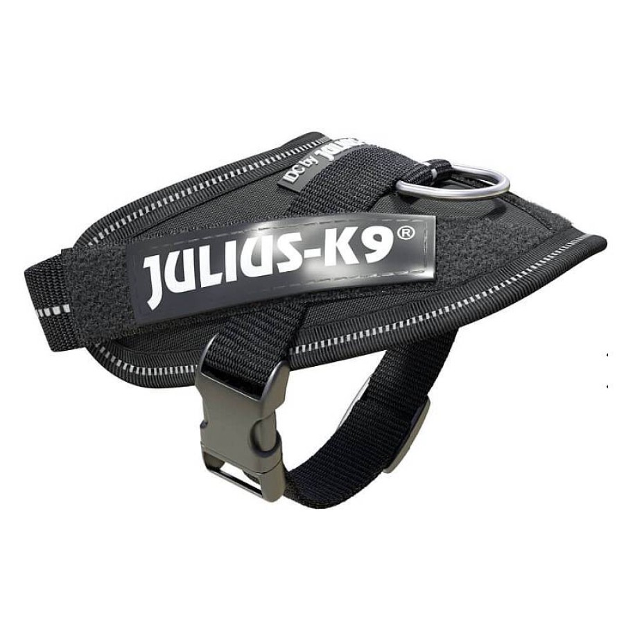 Julius K9 Idc Baby 2 33-45 Cm Negro Clearance