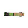 Nyc Collar X-Trm Neon Flash Verde 38 Mm Online