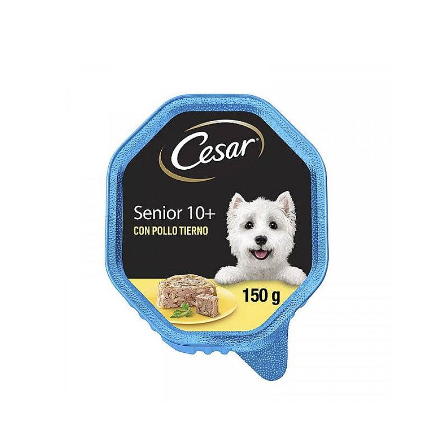 Cesar Tarrina Senior 150 Gr Wholesale