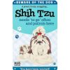 Placa Shih Tzu Wholesale