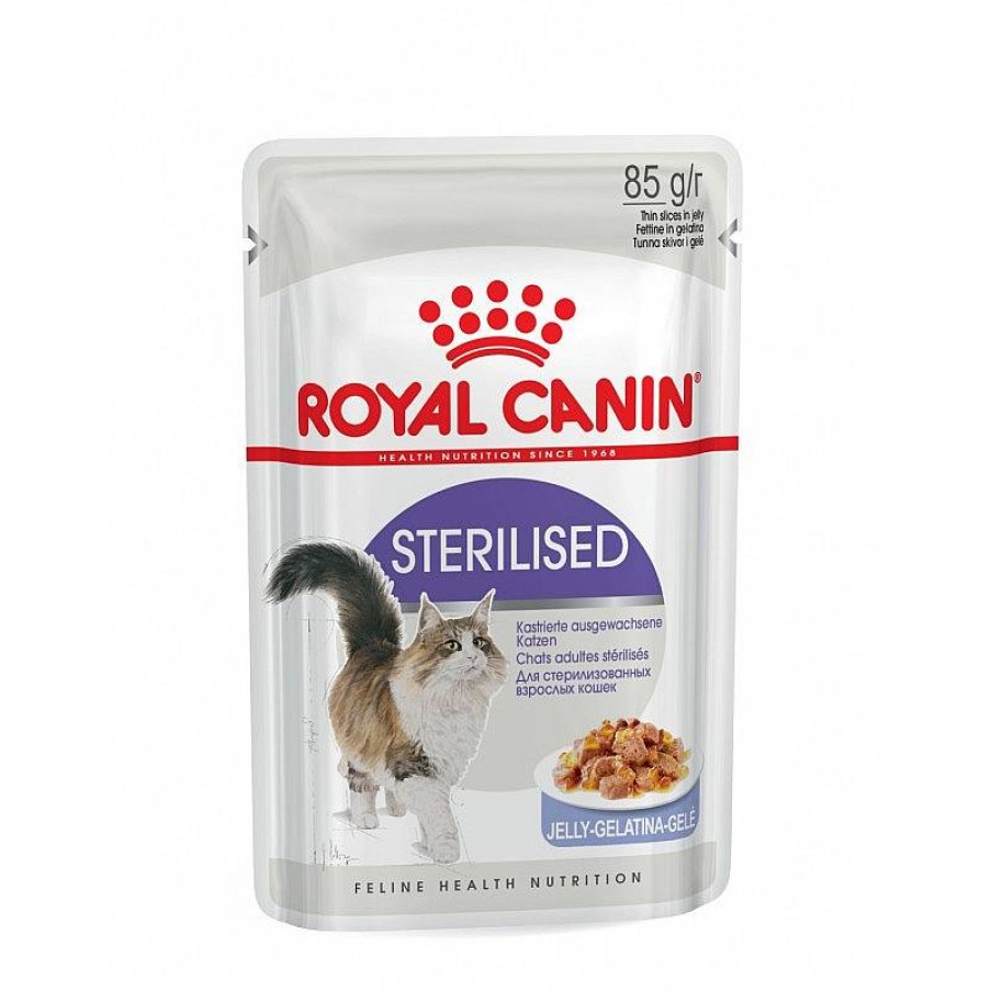 Royal Cat Steril Pouch Gelatina 85 Gr Hot