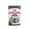 Royal Cat Digest Pouch Salsa 85 Gr Hot