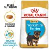 Royal Jr. Yorkshire 500 Gr Online