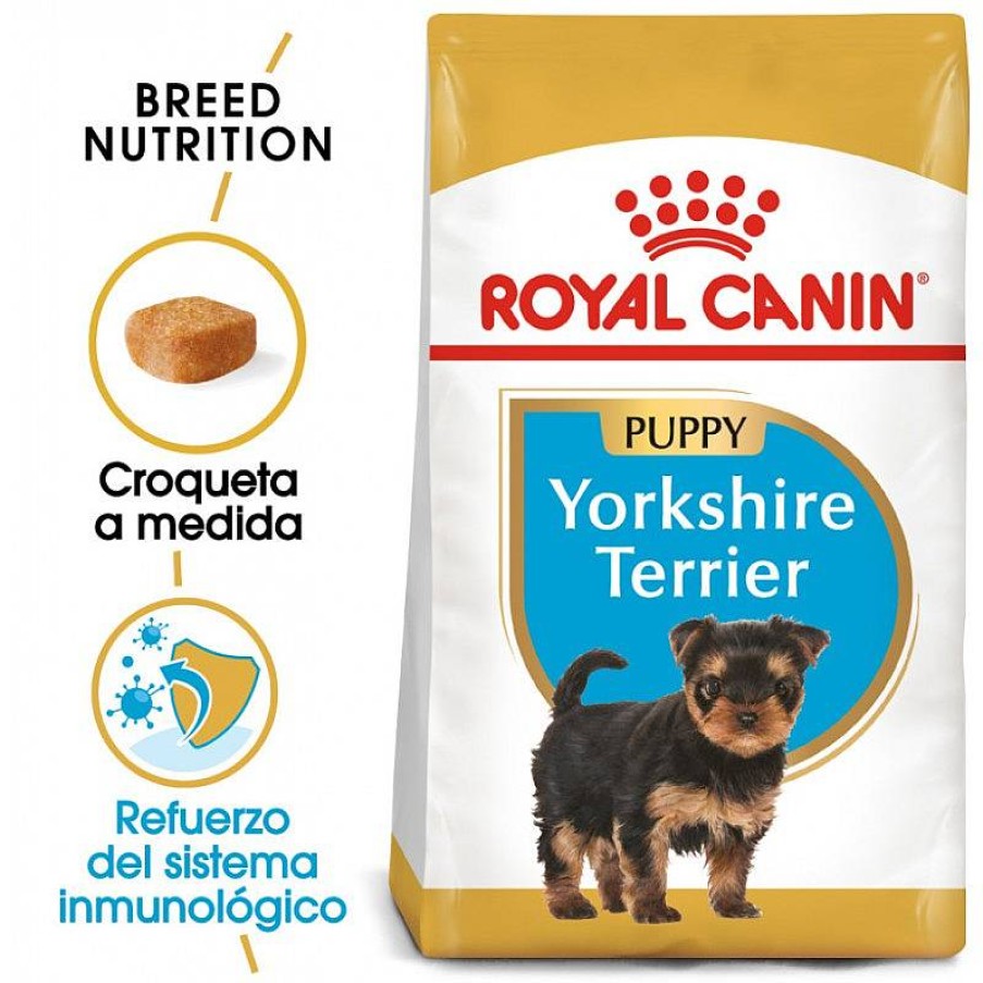 Royal Jr. Yorkshire 500 Gr Online