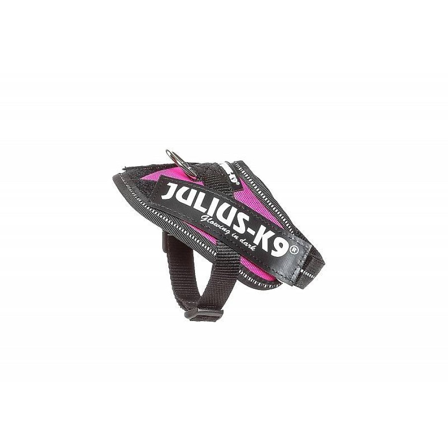 Julius K9 Idc Baby 1 29-36 Cm Fucsia Wholesale