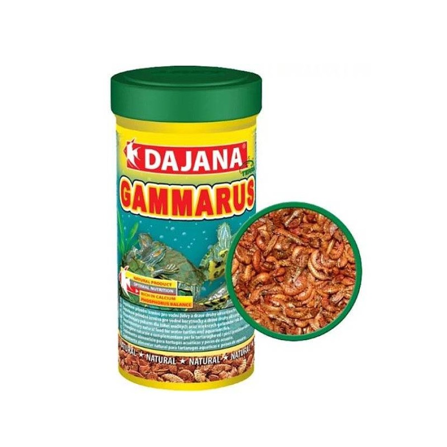 Dajana Gammarus 100 Ml Wholesale