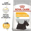 Royal Dermacomfort Mini 3 Kg New