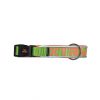 Nyc Collar X-Trm Neon Flash Verde 38 Mm Best