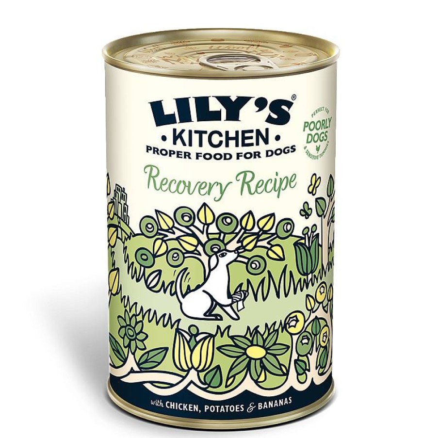 Lilys Dog Recovery Recipe 400 Gr Best