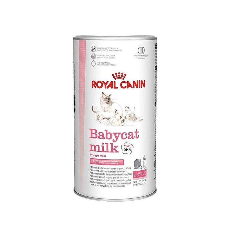 Royal Leche Gatito 300 Gr Wholesale