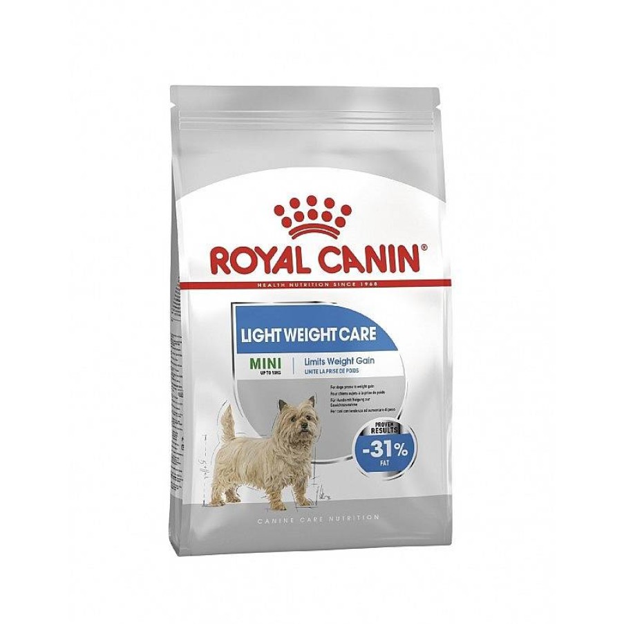 Royal Light Mini 3 Kg Best