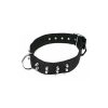 Fb Collar Nylon Clavos Negro 5*64 Cm Online