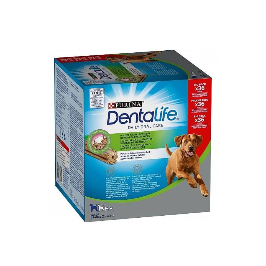 Dentalife Large Multipack 36 Sticks New